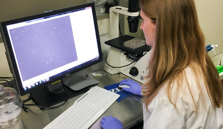 Studenti TULky pomáhají v USA při vývoji umělé ledviny. Stáž jim překazil koronavirus