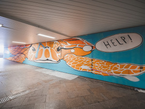 Podchod u nádraží oživily graffiti. Je to jen začátek, věří z Budějovického Majálesu
