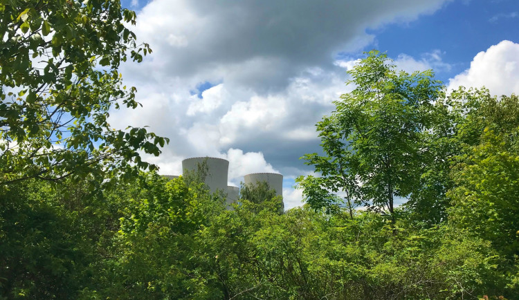 Z černé skládky vznikl u Temelína lesní park