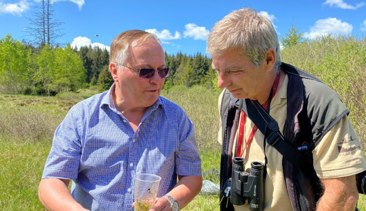 Poblíž lipenské přehrady žije vzácný a ohrožený střevlík