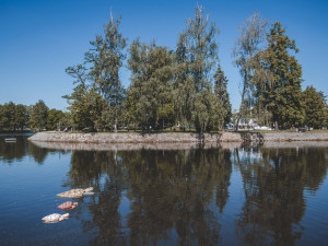 V Budějcích začalo Umění ve městě, letošním tématem je voda