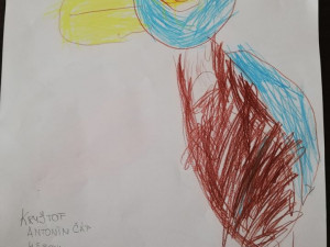 sokol Kryštof Čáp