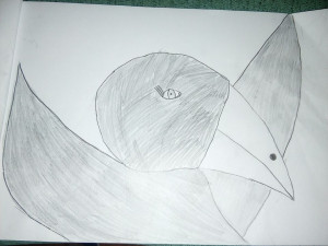 sokol Františka Háková