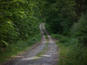 Kousek Vltavy budete mít jako na dlani. Zkuste výlet na vyhlídkové místo U kříže nedaleko Poněšic