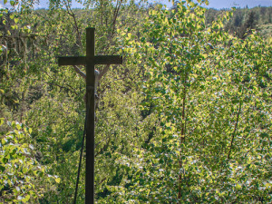 Kousek Vltavy budete mít jako na dlani. Zkuste výlet na vyhlídkové místo U kříže nedaleko Poněšic