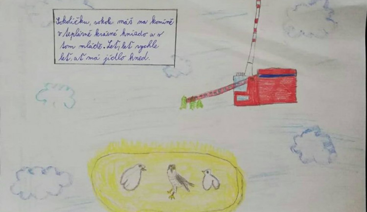 sokol Natálie Kadlecová