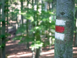 České Švýcarsko u Českých Budějovic? Ano, čtete správně