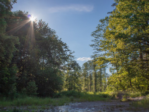 České Švýcarsko u Českých Budějovic? Ano, čtete správně