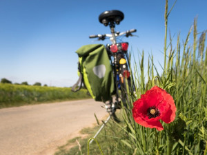 Letošní preference českých turistů budou jiné, ukázal průzkum VŠTE