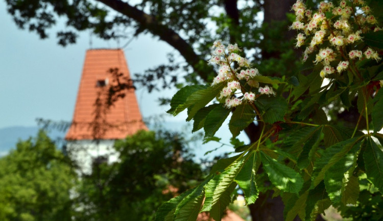 Boršovský masakr si obec připomene střelbou ze vzduchovek