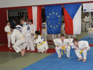 Jihočeská Silva Nortica: Fond malých projektů má za cíl podporovat česko-rakouskou spolupráci. Uzávěrka žádostí o dotaci je v září