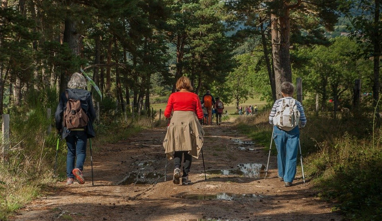 Na dovolenou v Česku se chystá 79 procent Čechů. Mezi nejvyhledávanějšími kraji je jih Čech