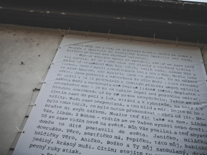 Milada Horáková nebyla jen pasivní obětí komunistického režimu, byla jeho aktivním odpůrcem, říká Jan Synek