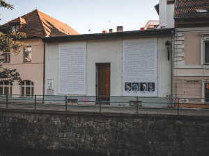 Milada Horáková nebyla jen pasivní obětí komunistického režimu, byla jeho aktivním odpůrcem, říká Jan Synek