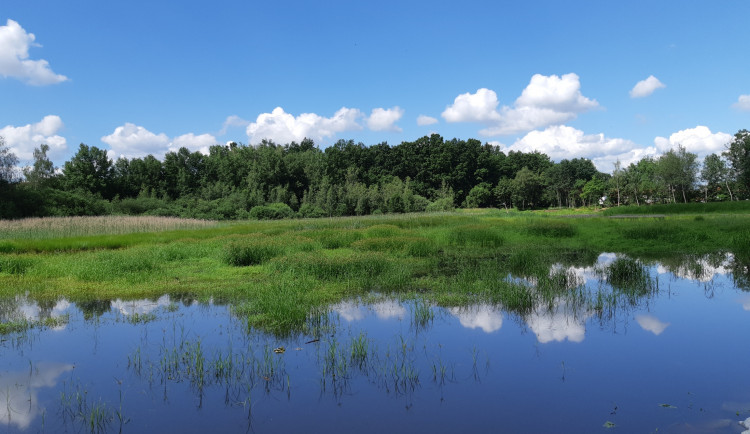 Obnova Lišovského rybníka je hotová. Práce vyšly na necelé dva miliony korun