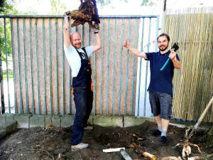 Letní kino Háječek zahájí filmy Na samotě u lesa a Pomáda