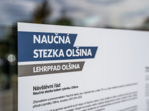 Naučná stezka Olšina představí návštěvníkům unikátní přírodní oblast, vhodná je i pro rodiny s dětmi