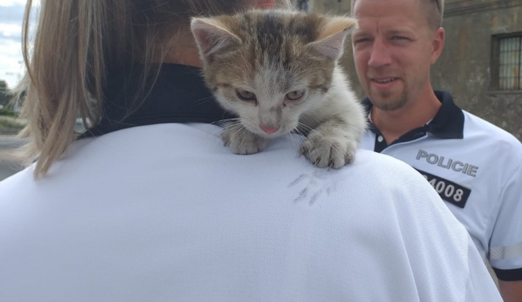 Malé kotě uvízlo v autě. Vytáhnout ho museli až policisté a u nich už také zůstane