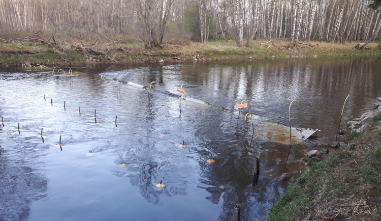 Migrování ryb z lipenské přehrady má zabránit mobilní konstrukce