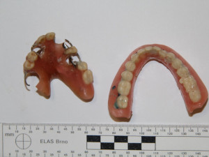 Policie stále pátrá po totožnosti mrtvého muže, který byl nalezen u Prachatic