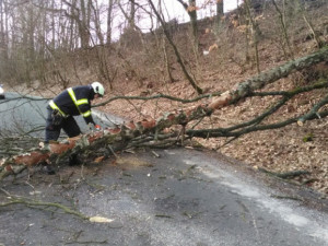 VIDEO: Kvůli bouřce zasahovali hasiči u padesáti událostí. Nejvíce na Táborsku