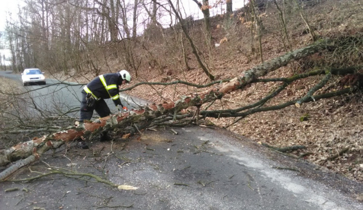 Kvůli bouřce zasahovali hasiči u padesáti událostí. Nejvíce na Táborsku