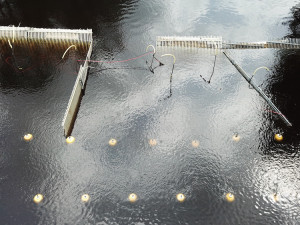 Migraci ryb z Lipna zřejmě zabrání kombinace dvou bariér