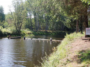 Migraci ryb z Lipna zřejmě zabrání kombinace dvou bariér