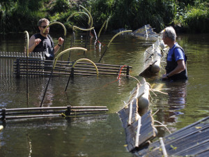 Migraci ryb z Lipna zřejmě zabrání kombinace dvou bariér
