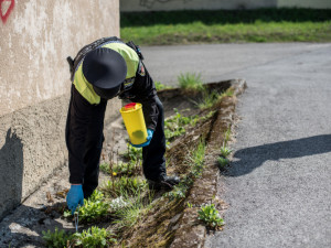 Od začátku roku likvidovali strážníci přes 300 použitých injekčních stříkaček. Nejvíce jich je kolem vlakového nádraží