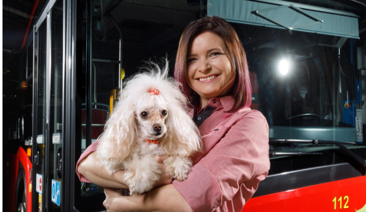 Dopravní podnik hledá nové řidiče. Řidičské oprávnění sk. D zájemcům zaplatí