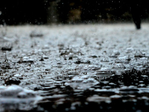 Vydatný déšť zvedl hladiny některých vodních toků na jihu Čech, Černá je na druhém stupni povodňové aktivity