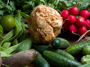 SOUTĚŽ: Košík.cz je v Českých Budějovicích. Nakupování nikdy nebylo pohodlnější