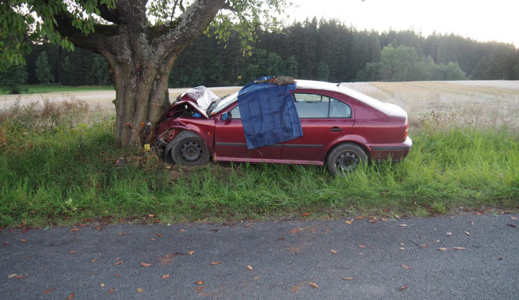 Senior narazil na Táborsku do stromu. Nehodu nepřežil