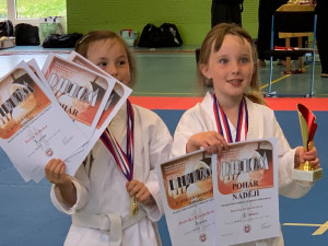 Damai di Hati: Jsme oddíl tradičního karate a taichi. Uchopte s námi sílu svého těla a získejte vnitřní mír