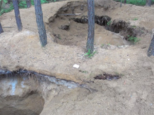 Na jihu Čech přibývá případů nelegální těžby vltavínů