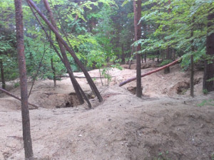 Na jihu Čech přibývá případů nelegální těžby vltavínů