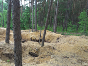 Na jihu Čech přibývá případů nelegální těžby vltavínů