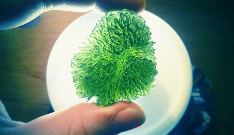 Na jihu Čech přibývá případů nelegální těžby vltavínů