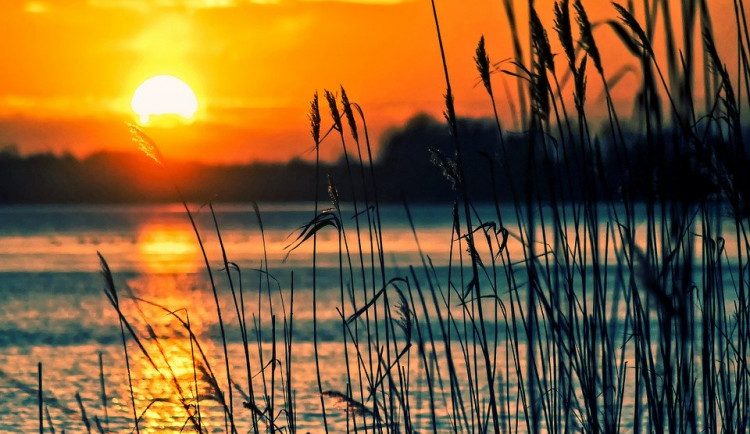 Teploty v Česku budou postupně klesat, deště v září ubude