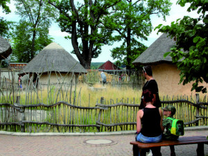 V Zoo Hluboká chystají Netopýří  noc