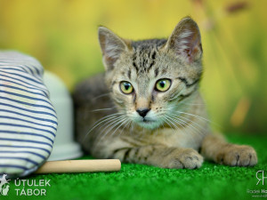 Radek Havlicek-VividFoto.cz