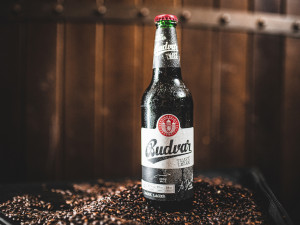 Vznik tmavého ležáku byl v Budvaru tak trochu rebelskou misí. Volali po něm hlavně hospodští