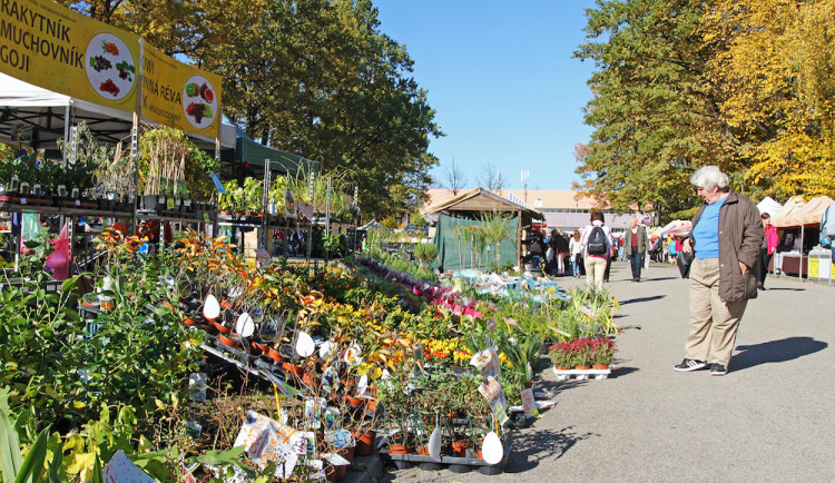 Výstaviště se po téměř půl roce otevírá znovu veřejnosti