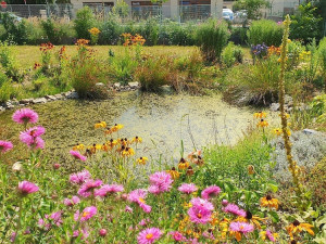 O nevzhlednou plochu u zanádražní komunikace se postaraly dvě dobrovolnice. Místo se změnilo k nepoznání