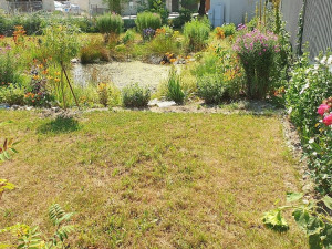 O nevzhlednou plochu u zanádražní komunikace se postaraly dvě dobrovolnice. Místo se změnilo k nepoznání