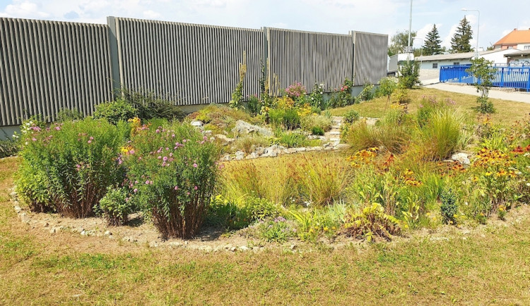 O nevzhlednou plochu u zanádražní komunikace se postaraly dvě dobrovolnice. Místo se změnilo k nepoznání