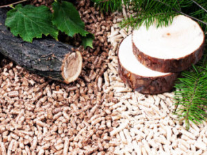 Pelety-CB: Nabízíme levné, kvalitní a ekologické palivo. Naleznete nás ve Vrbenské