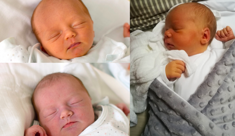 SOUTĚŽ: Hlasujte pro drbňátko srpna