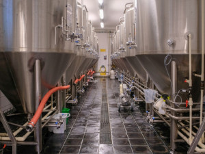 Náš název je velká přednost, říká sládek pivovaru Nachmelená opice Michal Kuřec